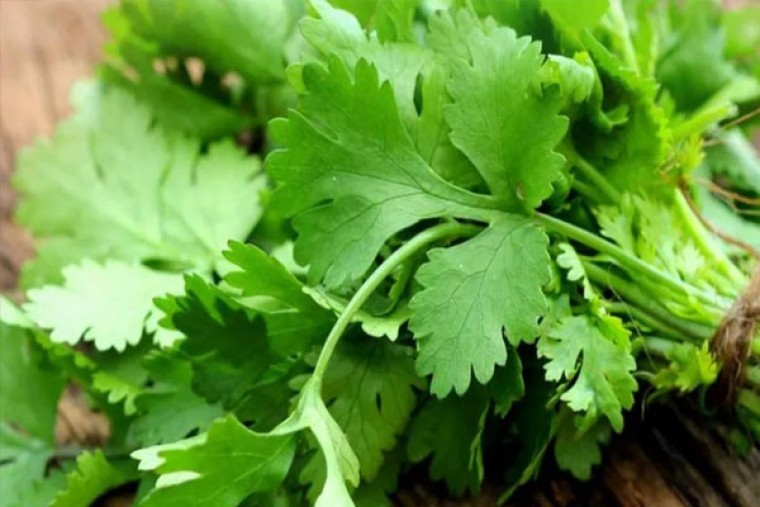 కొత్తిమీరతో ఆ సమస్యకు చెక్  

