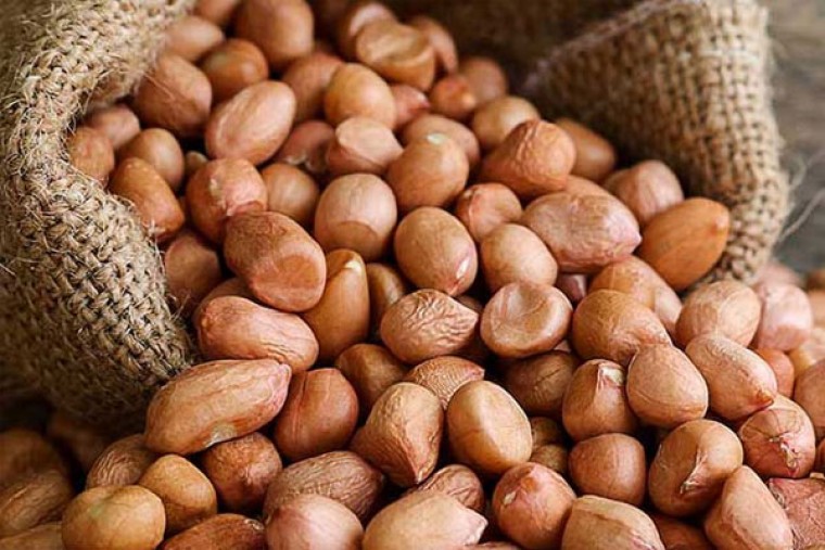 వేరుశెనగలో అనేక ఆరోగ్య ప్రయోజనాలు

