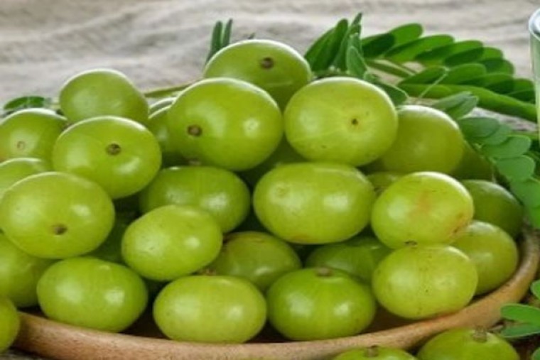 ఉసిరికాయతో ఎన్నో ఆరోగ్య ప్రయోజనాలు  

