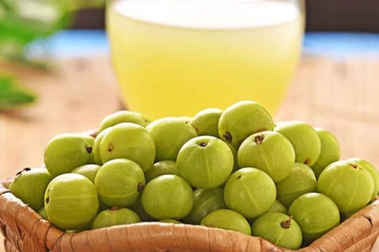 ఉసిరిపొడితో కలిగే ఆరోగ్య లాభాలు 

