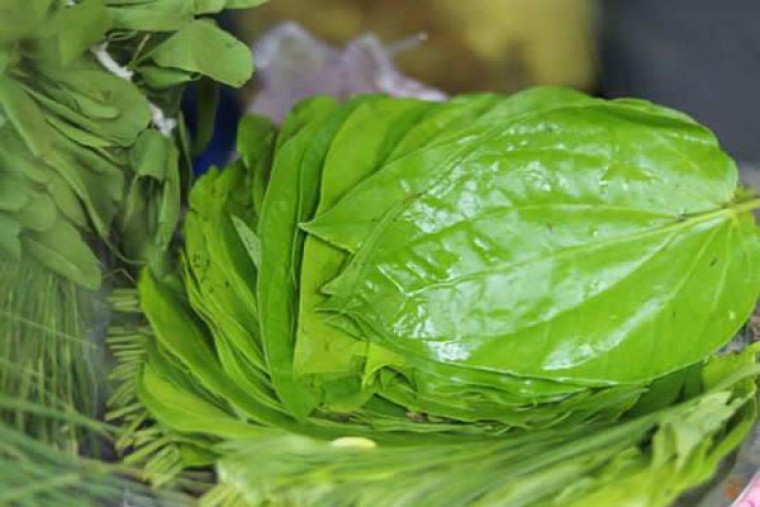 తమలపాకులతో ఆ సమస్యలకు చెక్

