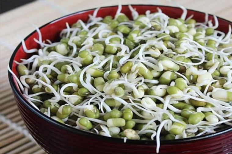 పెసర మొలకలతో కలిగే ఆరోగ్య ప్రయోజనాలు

