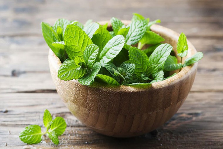 పుదీనాతో ఆ సమస్యకు చెక్ 

