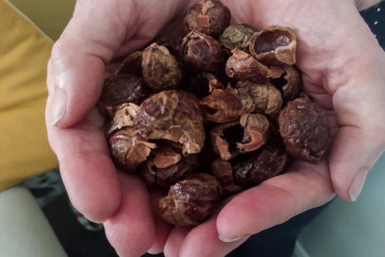 కుంకుడుకాయలతో కలిగే లాభాలు 

