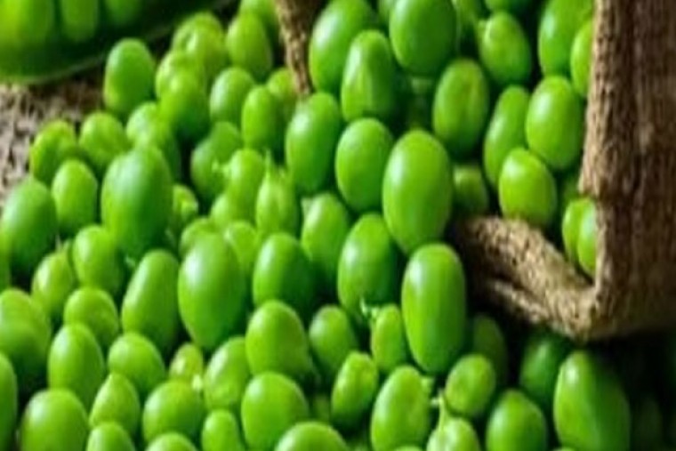 పచ్చి బఠానీలతో కలిగే ఆరోగ్య లాభాలు 

