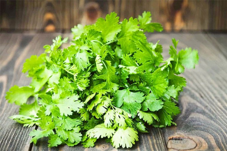 కొత్తిమీరతో ఆ సమస్యకు చెక్ పెట్టండి

