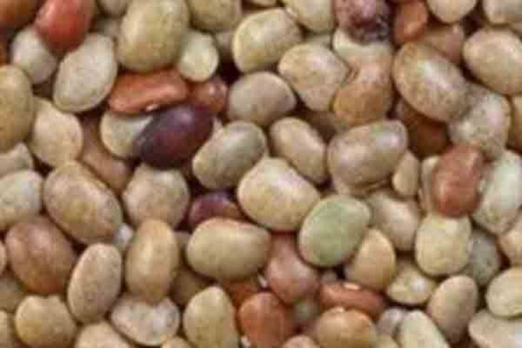 ఉలవలతో అనేక ఆరోగ్య ప్రయోజనాలు 

