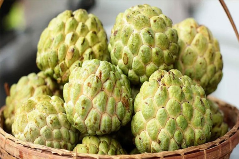 సీతాఫలం తింటే ఎన్నో ఆరోగ్య ప్రయోజనాలు

