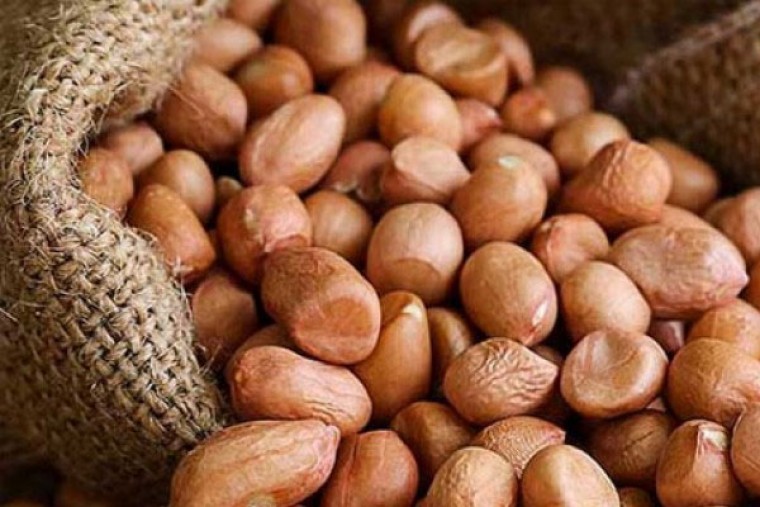 వేరుశెనగతో కలిగే ఆరోగ్య ప్రయోజనాలు  

