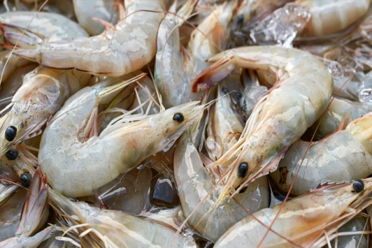 రొయ్యలను తినడం వలన కలిగే ఆరోగ్య ప్రయోజనాలు

