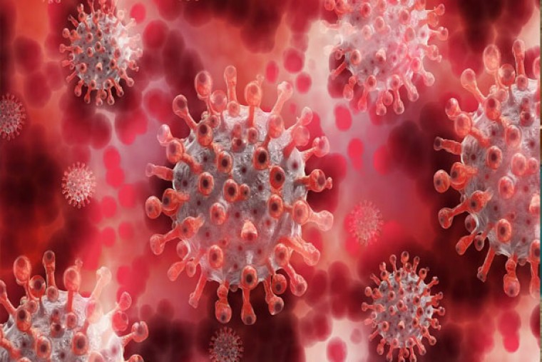 లవంగం నూనెతో కలిగే ప్రయోజనాలు 

