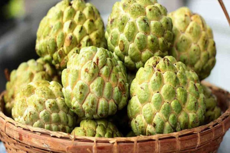 సీతాఫలంతో కలిగే లాభాలు  

