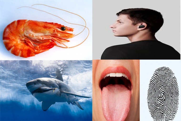 మీకు తెలుసా...!!