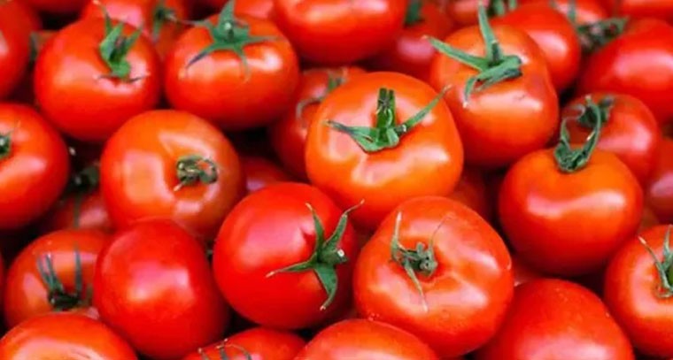 మళ్లీ పెరిగిన టమాట ధరలు