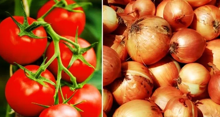 భారీగా తగ్గిన టమాటా, ఉల్లి ధరలు