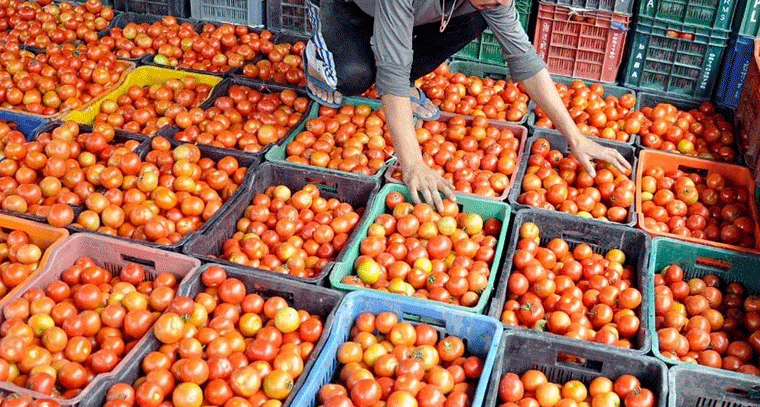 టమాటా ధర పతనం.. కేజీ రూ.5