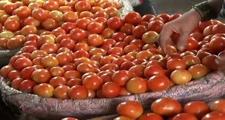 భారీగా పడిపోయిన టమాట ధరలు