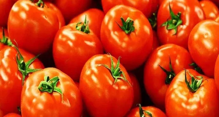 టమాటాలను అన్ని కూరగాయలతో కలిపి ఉంచవద్దు: నిపుణులు