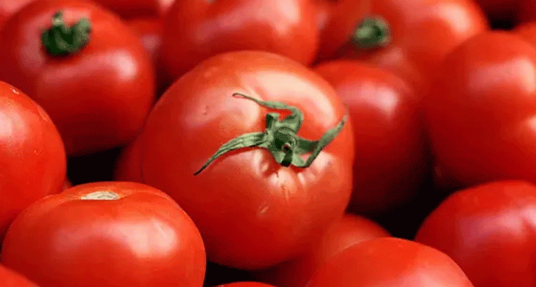 టమోటాలు ఎక్కువగా తింటే ఆరోగ్యంపై దుష్ప్రభావాలు: నిపుణులు
