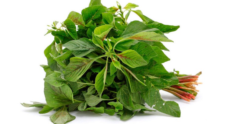 తోటకూరతో ఎన్నో ఆరోగ్య ప్రయోజనాలు