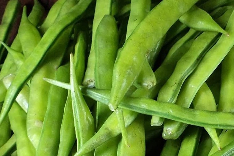 బీన్స్ తో ఎన్నో ఆరోగ్య లాభాలు 

