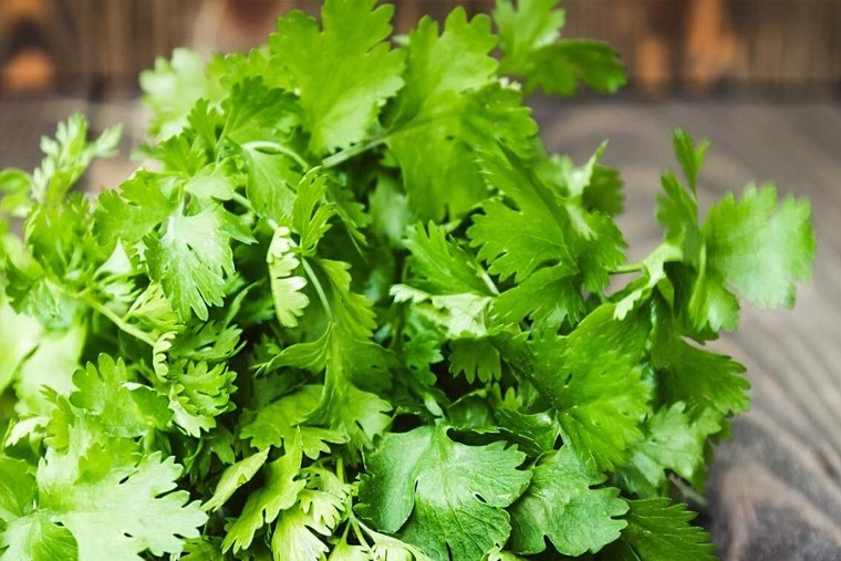  కొత్తిమీర వల్ల ఎన్నో ఆరోగ్య లాభాలు 

