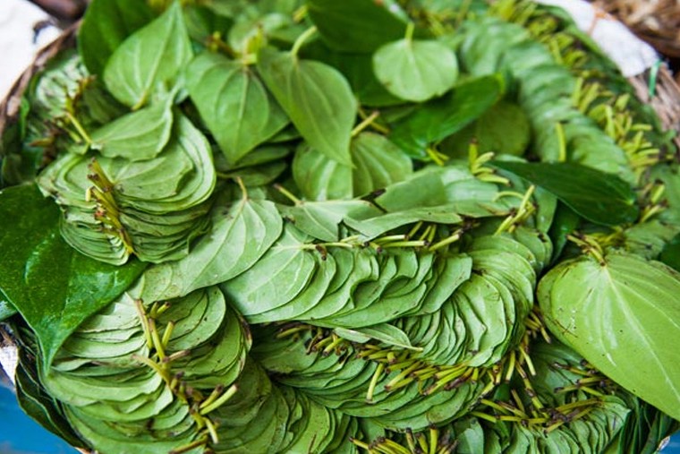 తమలపాకుతో ఎన్నో ఆరోగ్య లాభాలు 

