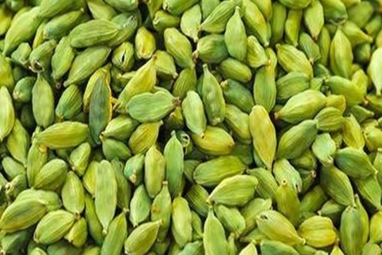 యాలకులలో ఎన్నో ఆరోగ్య ప్రయోజనాలు 

