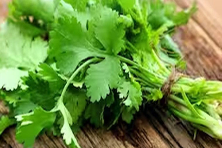 కొత్తిమీర వల్ల ఎన్నో ఆరోగ్య లాభాలు 

