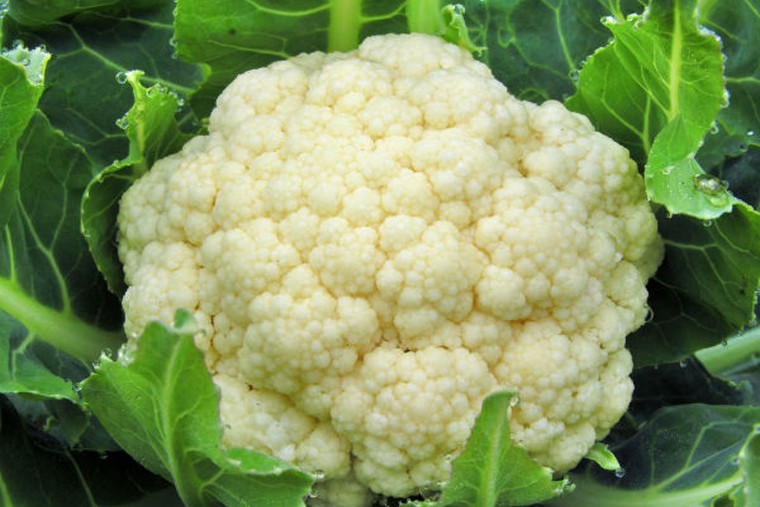 కాలీఫ్లవర్‌ తో కలిగే ఆరోగ్య ప్రయోజనాలు 

