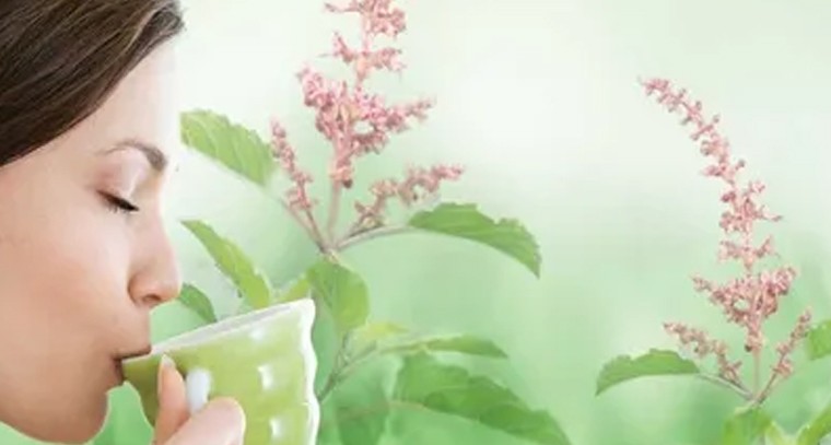 తులసి రసంతో నిద్రలేమికి చెక్