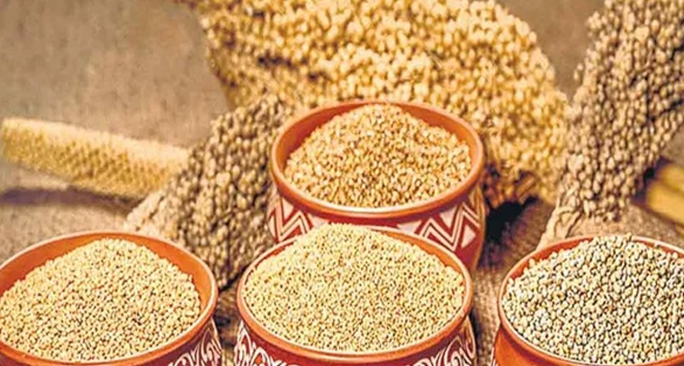 చలికాలంలో ఈ సూపర్ ఫుడ్ అస్సలు మిస్ చేయకండి..