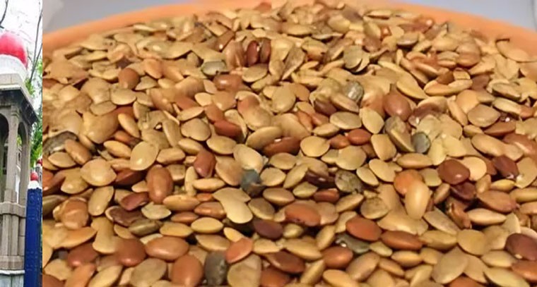 ఉల‌వ‌ల‌తో క‌లిగే లాభాలు తెలిస్తే వెంట‌నే తింటారు