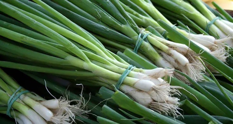 ఉల్లికాడలతో రక్తపోటుకు చెక్: నిపుణులు