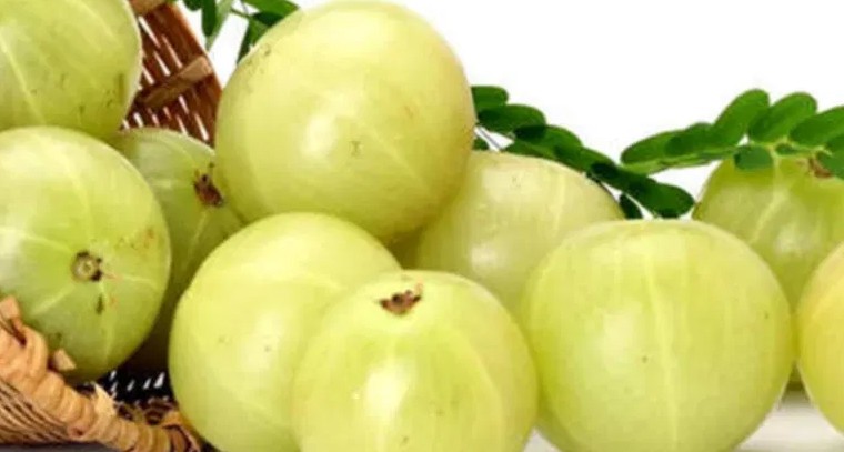 ప్రతి రోజూ ఉసిరి తినడం వల్ల