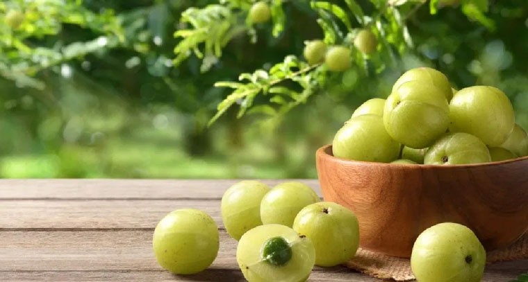 ఉసిరితో జుట్టుకు అద్భుత ప్రయోజనాలు