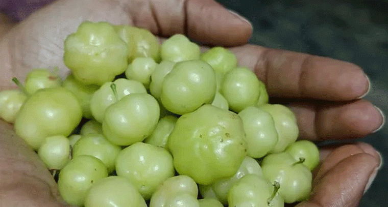 ఉసిరికాయతో జుట్టు సమస్యలకు చెక్ పెట్టొచ్చు: నిపుణులు