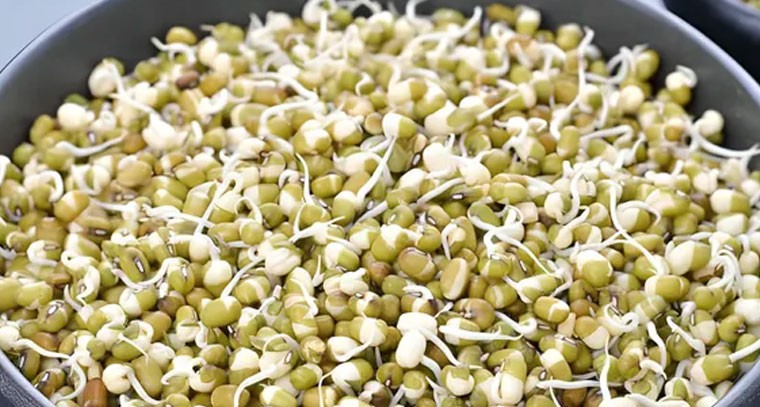 వర్షకాలంలో వీటిని అతిగా తింటే అనారోగ్యమే