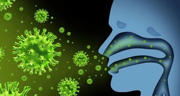 జంతువుల నుంచి మనుషులకు సోకుతున్న వైరస్