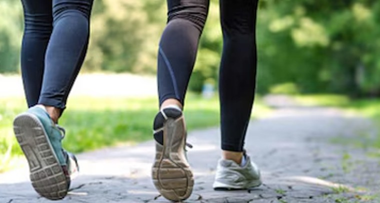 నిత్యం వాకింగ్ చేయడం వల్ల...