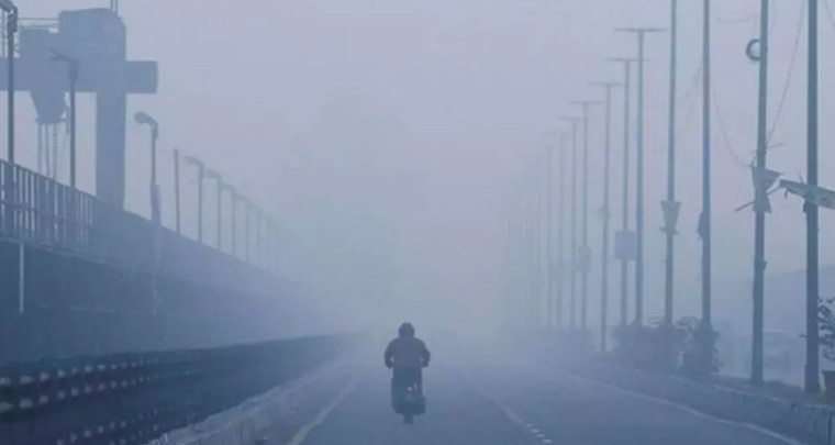 వీటిని తింటే చలి నుండి తప్పించుకోవచ్చు
