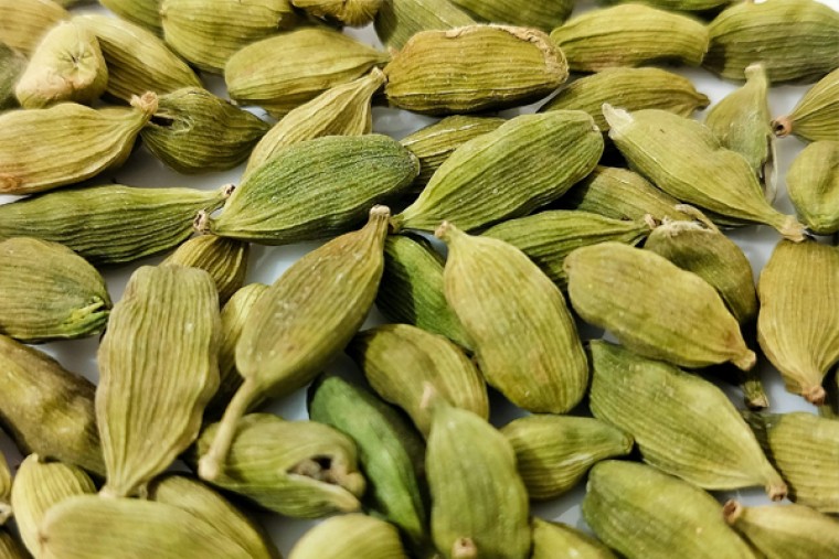 యళికలు తో గురక కు చెక్ 