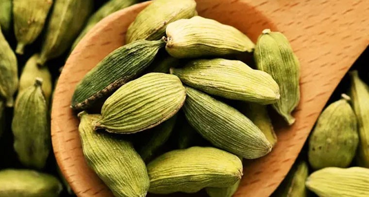 యాలకులు: ఆరోగ్యానికి అద్భుత ప్రయోజనాలు