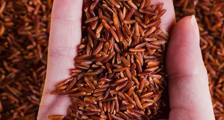 ఎర్ర బియ్యంతో ఆరోగ్యం.. పోషకాలు, వ్యాధులకు అడ్డుకట్ట!