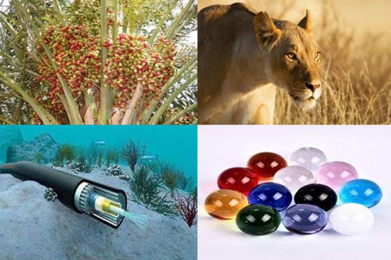 మీకు తెలుసా...!