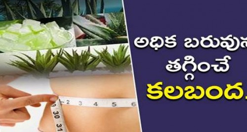 అధిక బరువును తగ్గించే కలబంద
