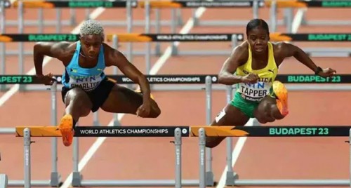 కాశీపట్నం సమీపంలో భారీగా గంజాయి స్వాధీనం
