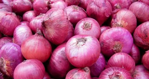 కిసాన్ రైలులో 312టన్నులు ఉల్లిపాయలు ఎగుమతి
