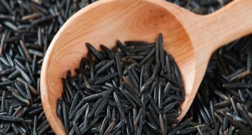 గోవా బీజేపీకి మాజీ సీఎం కుమారుడి రాజీనామా
