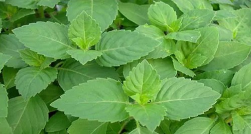 ఏపీలో లాక్ డౌన్ కొత్త మార్గదర్శకాలు
